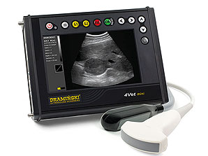 Portable veterinary ultrasound equipment for field and reproductive examinations